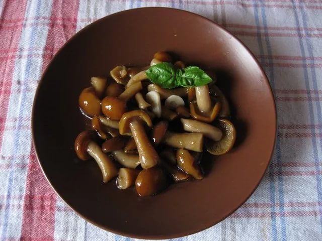 Gecombineerde zoutmethode