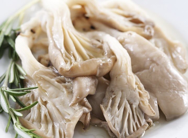 Gezouten oesterzwammen