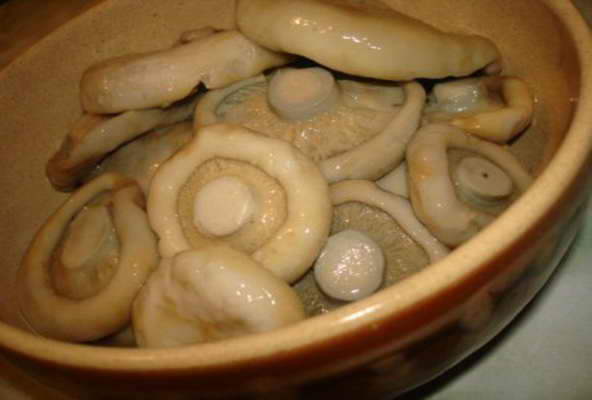 shiitake