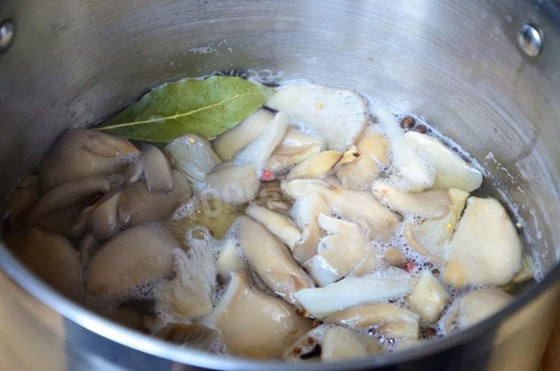 Gezouten oesterzwammen