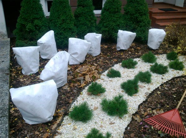 garden work in the fall