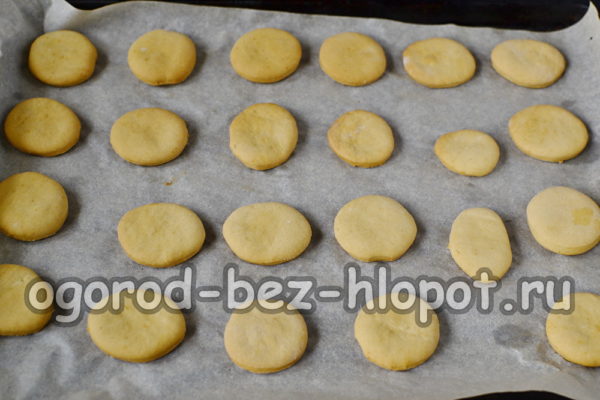 nướng cho đến khi vàng nâu