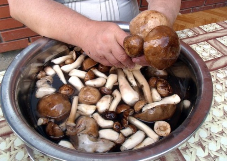 Soaking Mushrooms