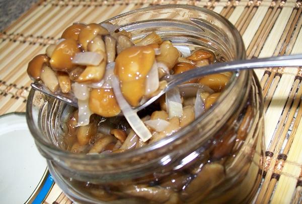 Медени гъби в туршия с краставици