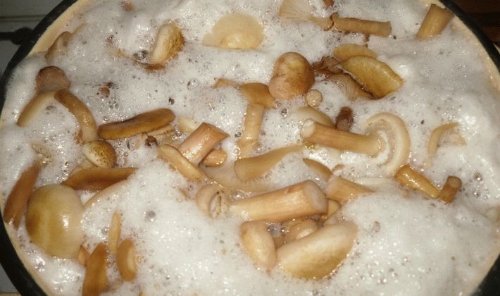 Процес на готвене