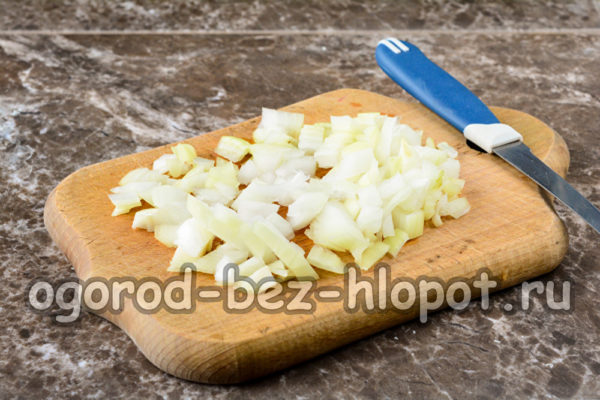 pjaustytą svogūną