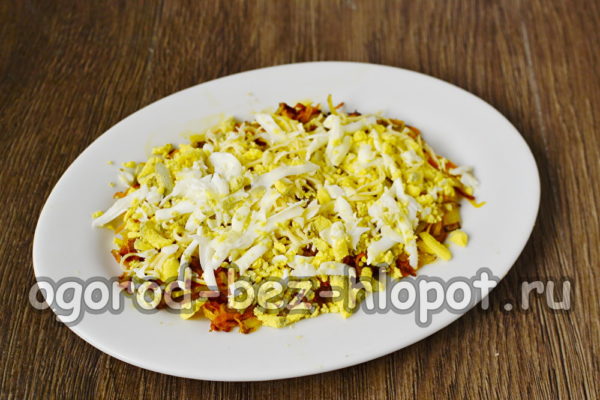 kiaušinių sluoksnis