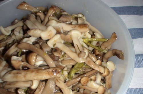 Солени гъби с мед