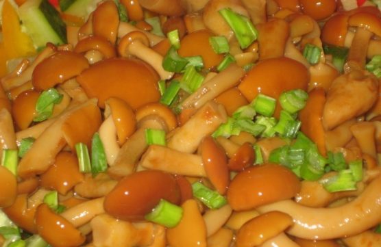 Солени гъби с мед