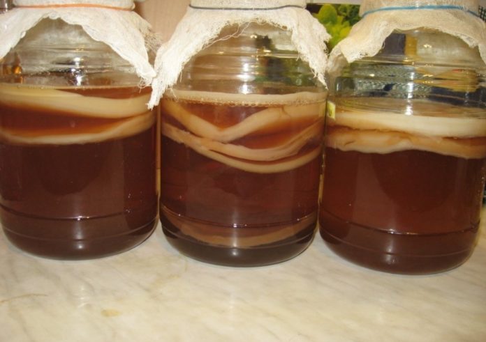 Комбуча върху ябълков оцет