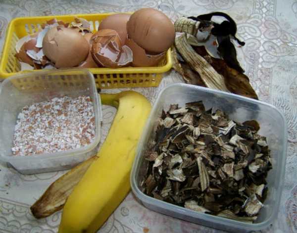 Комплексен тор