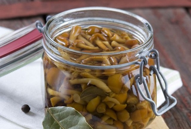 Солени гъби с мед