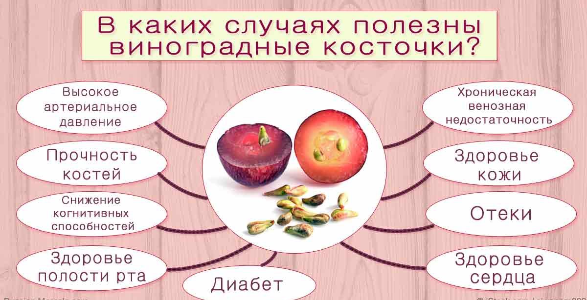 ประโยชน์ของเมล็ด