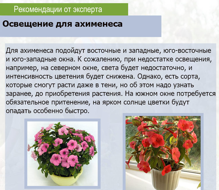 Apšvietimas Achimenams