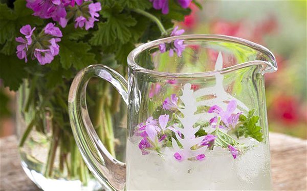 Nước hoa phong lữ