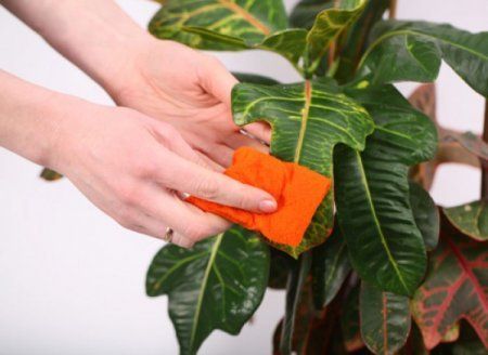 обработване