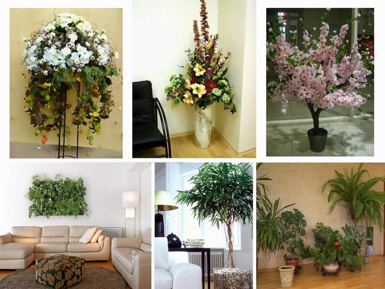 Опции за песни