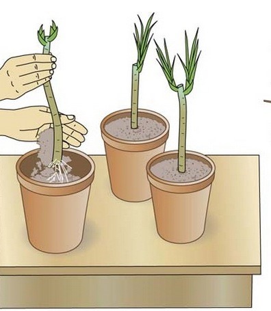 Модел на кацане