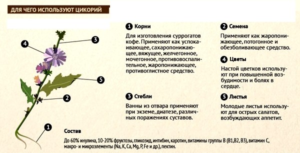 Приложение на продукта