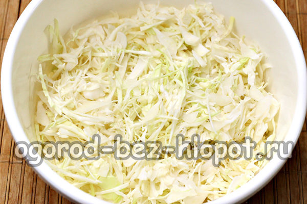 chop cabbage