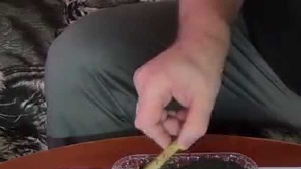 Zaden voorbereiden op planten