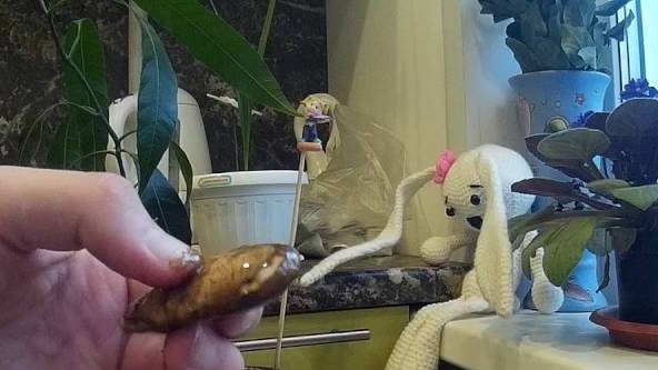 Кацаща кост