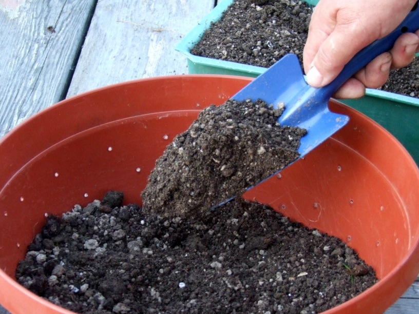 Soil preparation
