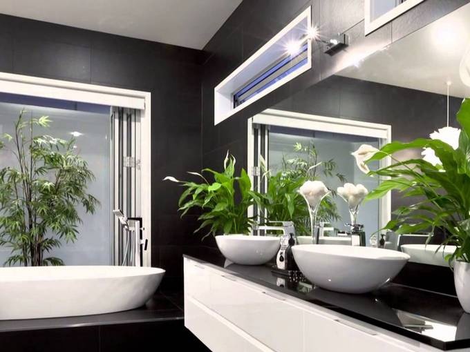 צמחים לשירותים