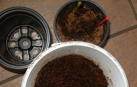 Persodinamas dirvožemis