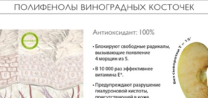 โพลีฟีนเมล็ดองุ่น