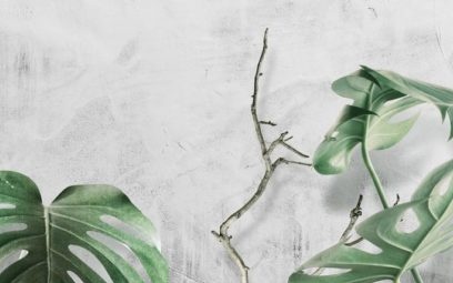 Температура на съдържанието