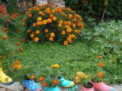 decorate a summer cottage