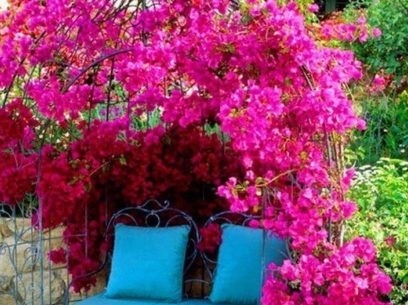 decorate a summer cottage