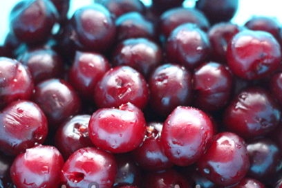 изсушете горските плодове