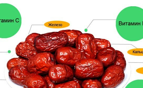 Vitamíny v termínoch