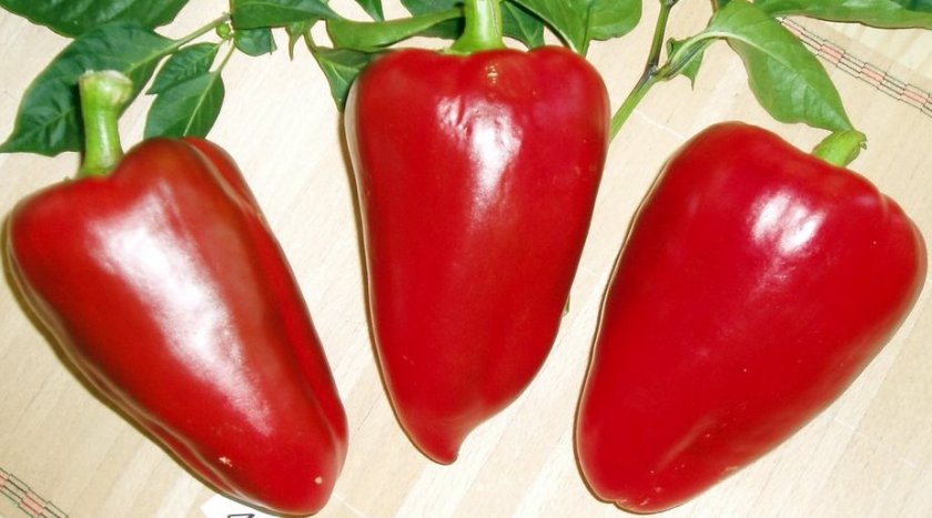 נסיך סיבירי