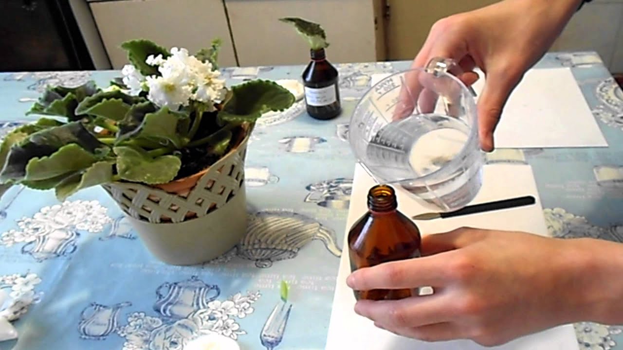 репродукция