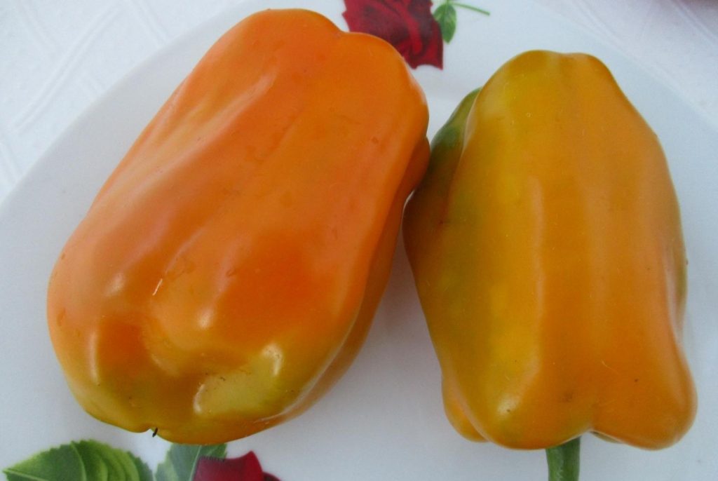 Златен Телец