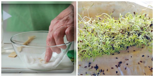 Накисване във водка