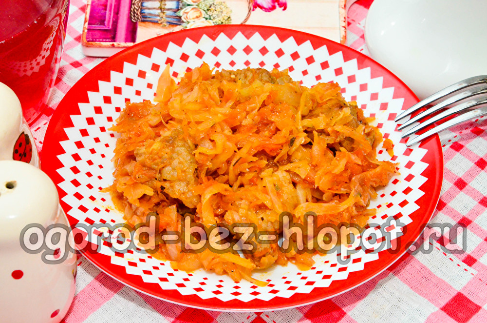 stewed cabbage with pork