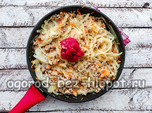 добавете доматено пюре, подправки