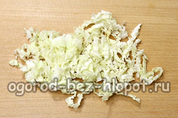 bắp cải xắt nhỏ