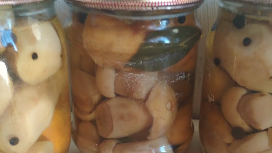 Bolets de porcini en vinagre