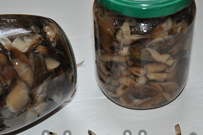 how to pickle mushrooms for the winter