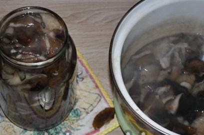 put mushrooms in banks