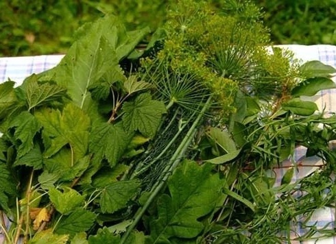 Gia vị để bảo quản