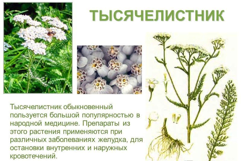 Tính chất hữu ích