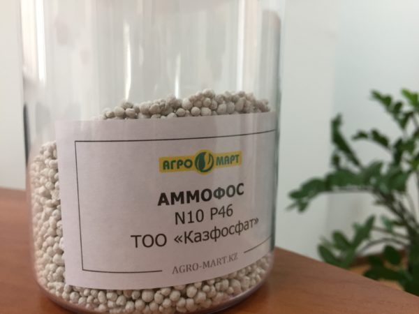 Ефектът на тора върху растенията