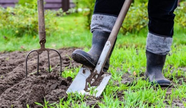 calendari d’aterratge abril de 2019