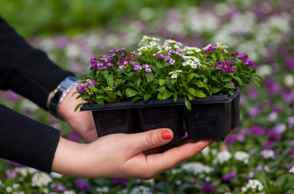 calendari d’aterratge abril de 2019